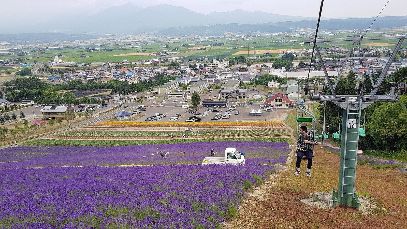 富良野・美瑛自由行|花田與青池怎麼排