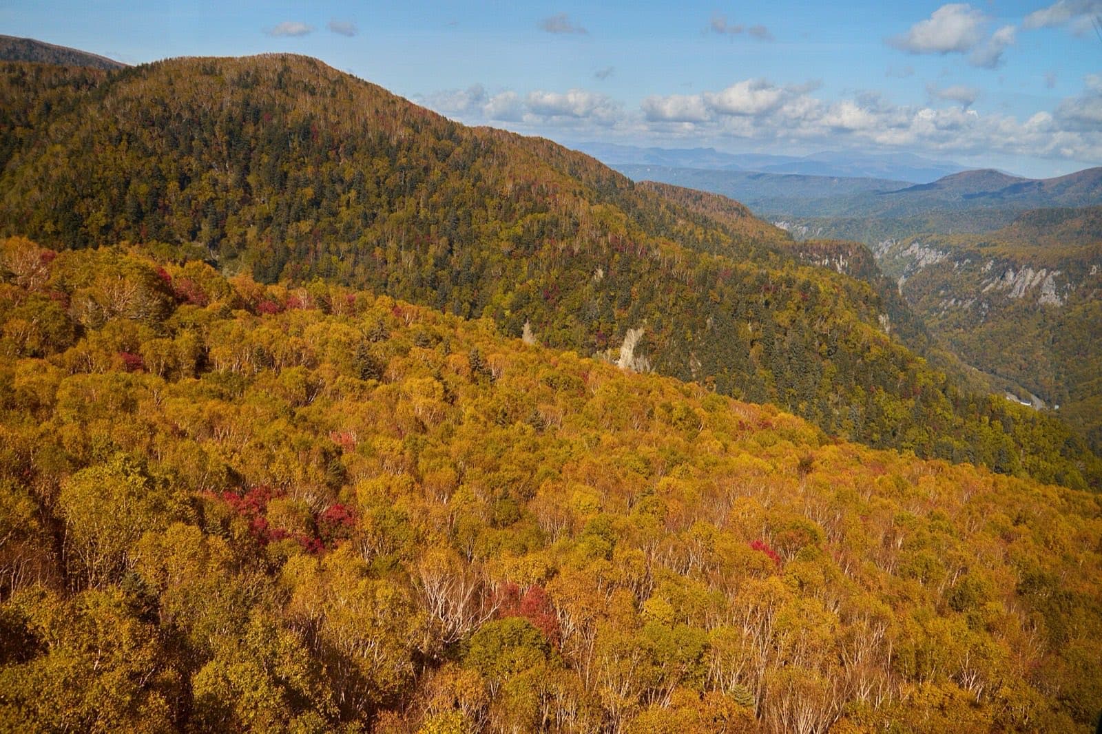 紅葉を見下ろしながら進むリフト。